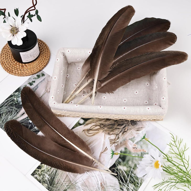 MehelloFeather Store Peacock Wing 11-14 Inch Natural Feather 6 Pcs Crafts for DIY Home Decoration Wedding Centerpieces Party Supplies - Image 5